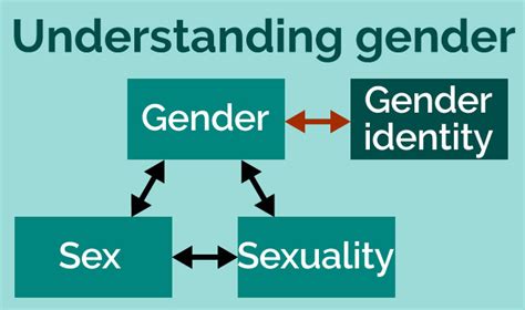 Types Of Gender Identity Types And Definitions 42 Off