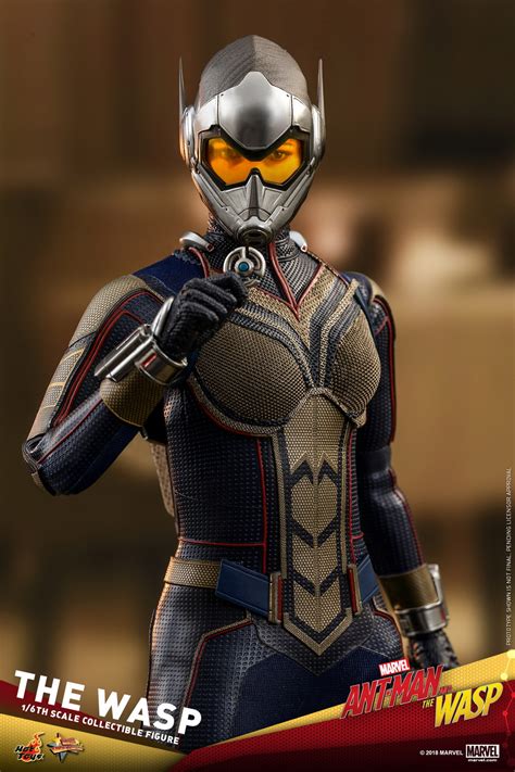 As scott lang balances being both a superhero and a father, hope van dyne and dr. Hot Toys Marvel Ant-Man and the Wasp 1/6 WASP | Figures.com