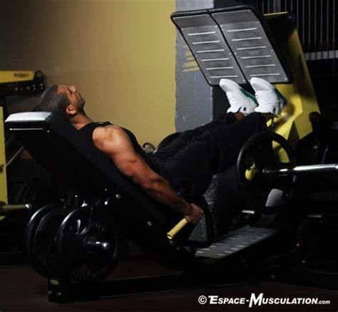 4 Meilleurs Exercices De Musculation Pour Se Muscler Les Mollets