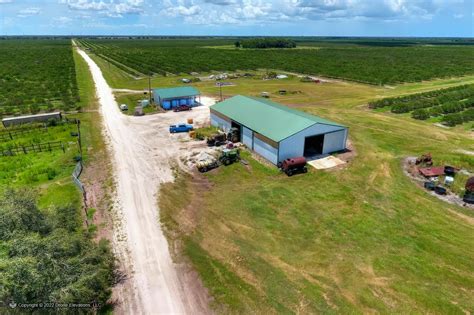 Citrus Farm for Sale in Arcadia, Florida, USA