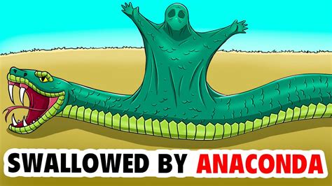 I Was Swallowed By Anaconda My Animated Story Youtube