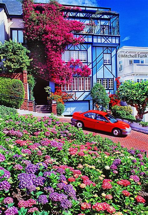 Jason from san francisco, ca i wish everyone would stop putting drug references in. Flowers On Lombard Street, San Francisco Bt Mitchell Funk ...