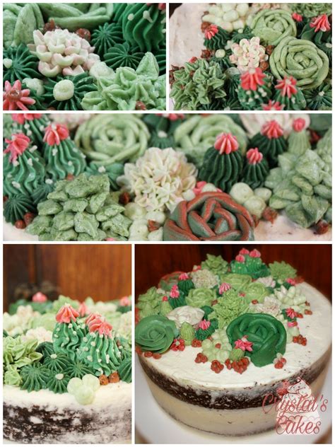Succulent Naked Cake Cake Creations Succulents Succulent Plants