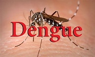 Dengue Fever Vaccin | Information & advice | Travel Health Assist