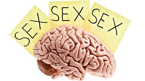 Sexo C Mo Afecta La Pornograf A A Nuestro Cerebro