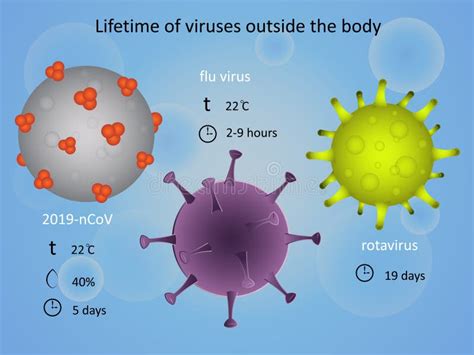 Lifetime Of Viruses Outside The Body Infection Stock Vector
