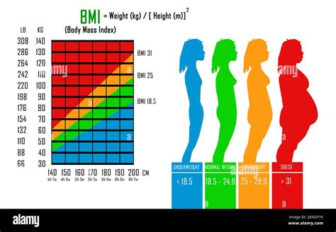 Body Mass Index Bmi Chart In Libs Kg Centimeters And Feet Formula The Best Porn Website