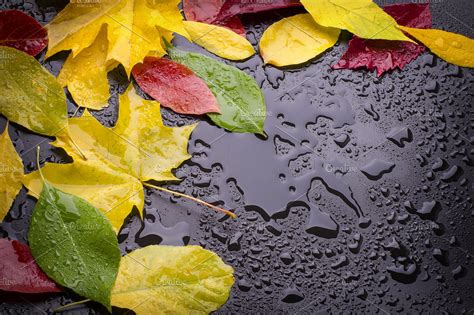 Autumn Rain High Quality Nature Stock Photos ~ Creative Market