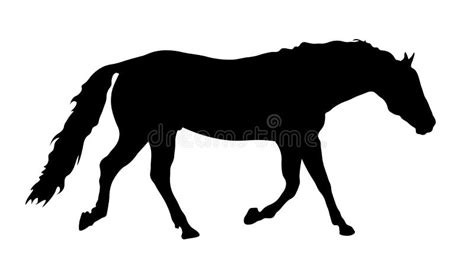 Silhouette Trotting Horse Stock Photo Illustration Of Horseback