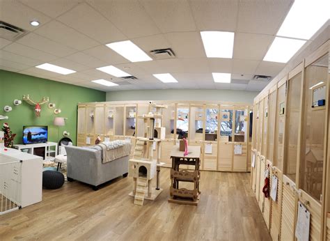 Purrfect Cat Boarding