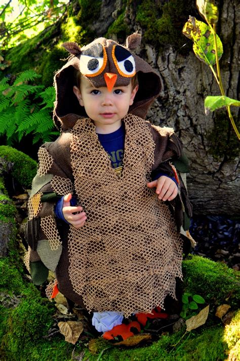 35 Best Ideas Diy Owl Costumes Home Inspiration And Ideas Diy