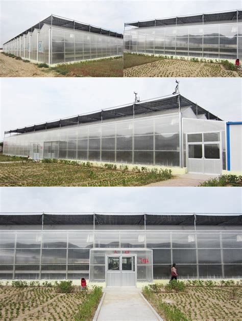 Corrugated Plastic Clear Greenhouse Panels Yuemei Pc Sheet