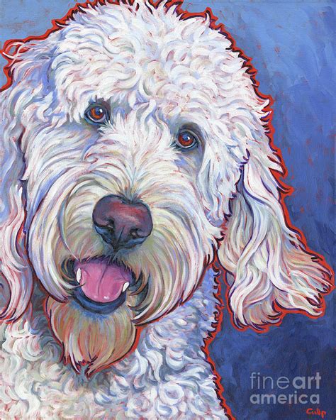 Labradoodle White Painting By Lynn Culp Pixels