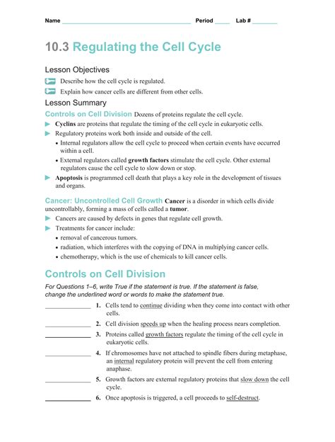 Anaphase __ e _ 1. Regulating The Cell Cycle Worksheet | db-excel.com