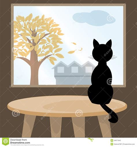 Black Cat At Window Stock Photography Image 34877642