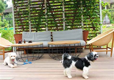 10 Awesome Dog-Friendly Cafes & Restaurants in Singapore