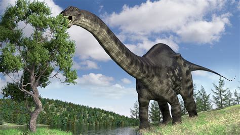 Why Was The Name Brontosaurus Brought Back From The Dead 15 Mi