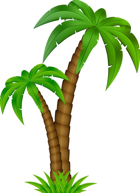 Palm Tree Clipart Clipart Images