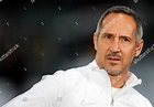 Frankfurts Head Coach Adolf Huetter Reacts Editorial Stock Photo ...