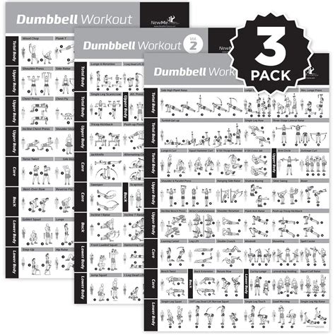 Buy Newme Fitness Dumbbell Workout Exercise Now Laminated Strength Training Chart Build