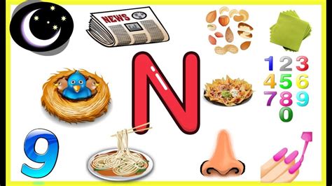 Letter N Things That Begins With Alphabet N Words Starts With N Objects