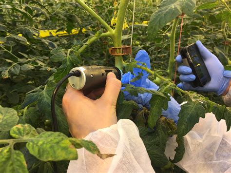 While healy says his company doesn't enforce contracts for example, for carpenter ants in a house up to 1,500 square feet, the treatment cost would be $300. Integrated Pest management in greenhouses