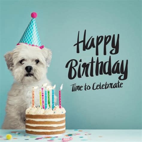 77 Happy Birthday Wishes For Dog Pet Doggy Wishes Cake And