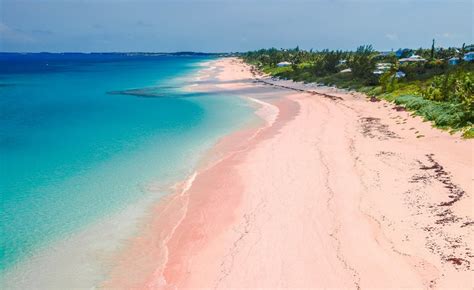 Фото Розового Пляжа На Багамах Telegraph