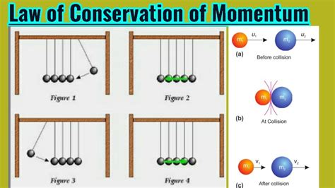 Law Of Conservation Of Momentum Physics Ch 3 Dynamics 9th Class