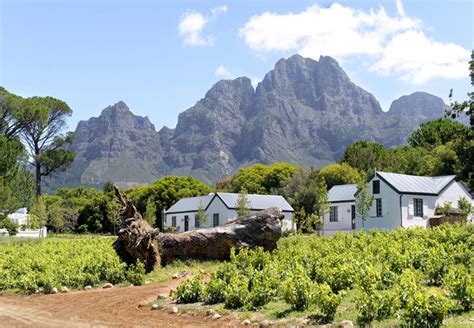 Boschendal Farm Estate In Franschhoek Western Cape