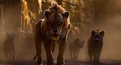 Lion King Nala Hyena Via Pumped Beyonce