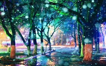 Park Night Alley Rain Background Wallpapers Lights
