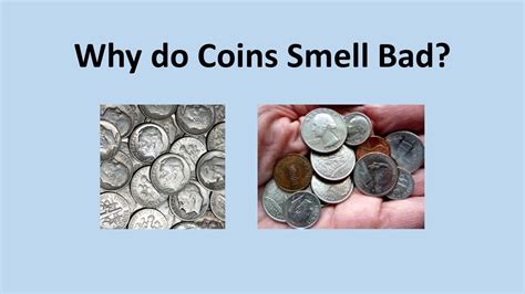 As far as smell goes, all the scientists appear to agree that parakeets have the ability to smell; Why do Coins Smell Bad? - YouTube