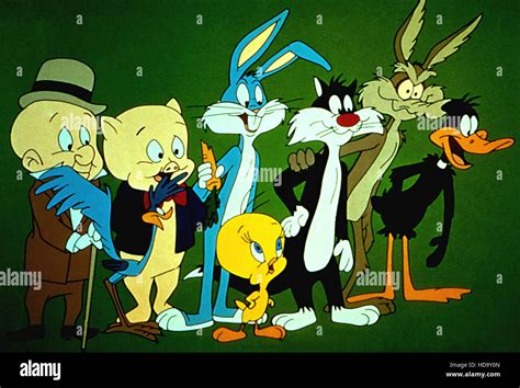 The Bugs Bunny And Tweety Show Elmer Fudd Road Runner Porky Pig