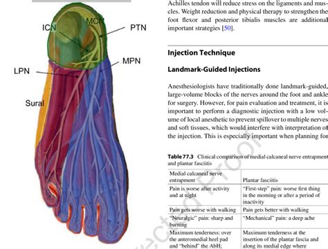 10 Sensory Map Of The Calcaneal And Plantar Nerves Mcn Medical