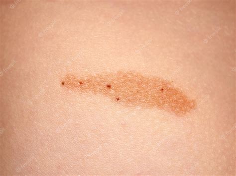 Unveiling the Enigmatic Patterns: A Comprehensive Exploration of