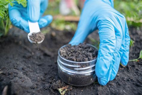 Soil Testing 101 What All Diy Landscapers Should Know Bob Vila