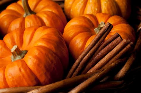 This Falls 21 Best Pumpkin Spice Think Pieces Ranked Avidly