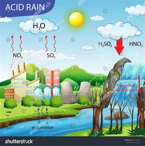 Diagram Showing Acid Rain Pathway Illustration Royalty Free Stock