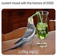 The most cursed memes of 2020: Exactly how we're all feeling – Film Daily