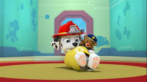 Aww Naptime For Baby Marshall Paw Patrol By Lah2000 On DeviantArt