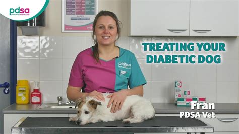 Treating Your Diabetic Dog Pdsa Petwise Pet Health Hub Pet News Live