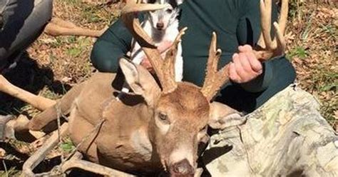 Tennessee Deer Hunting Season Opens Saturday Five Things To Know