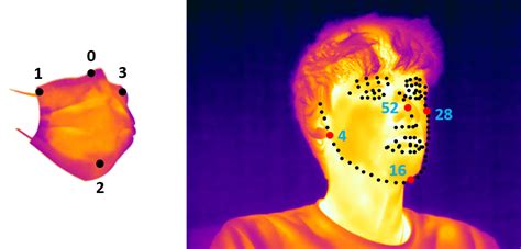 Thermal Mask A Dataset For Facial Mask Detection And Breathing Rate