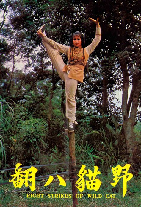 Kung fu is a chinese term referring to any study, learning, or practice that requires patience, energy this illustrates how the meaning of this term has been changed in english. Eight Strikes of Wild Cat - IFD