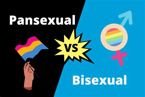 pansexual vs bisexual contrasthub