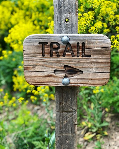 Trail Sign Pictures Download Free Images On Unsplash