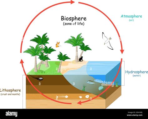 Biosphere Is A Zone Of Life On Earth Natural Ecosystems With Wildlife