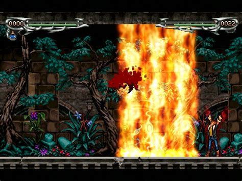 Castlevania Fighter Screenshots For Windows Mobygames