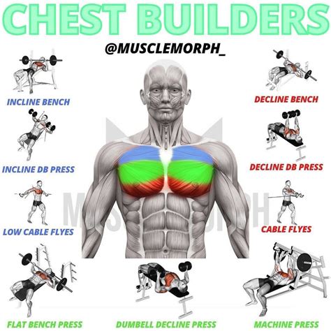 pec workouts gym workouts for men weight training workouts gym workout videos gym workout
